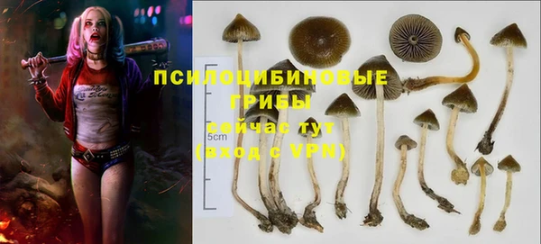 дмт Алексеевка