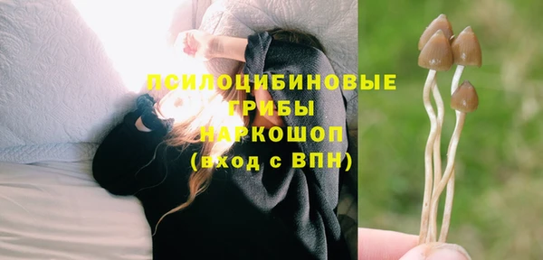 дмт Алексеевка