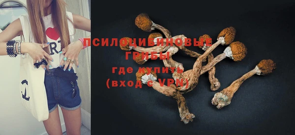 дживик Алзамай