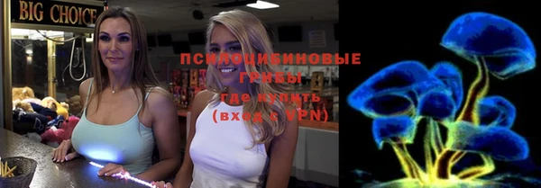 ешки Алексин