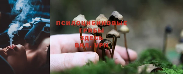 дживик Алзамай