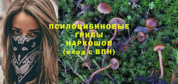 дживик Алзамай
