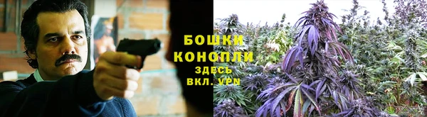ешки Алексин
