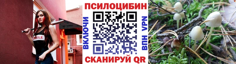 Псилоцибиновые грибы мицелий  Куртамыш 